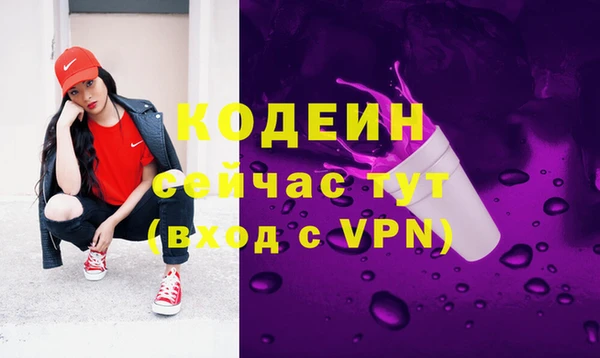 шишки Абаза