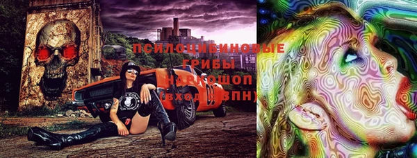 шишки Абаза