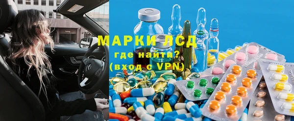 шишки Абаза
