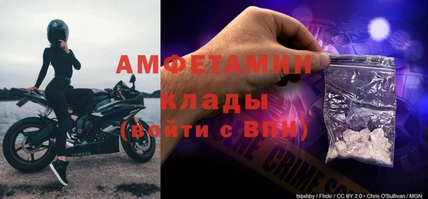 шишки Абаза
